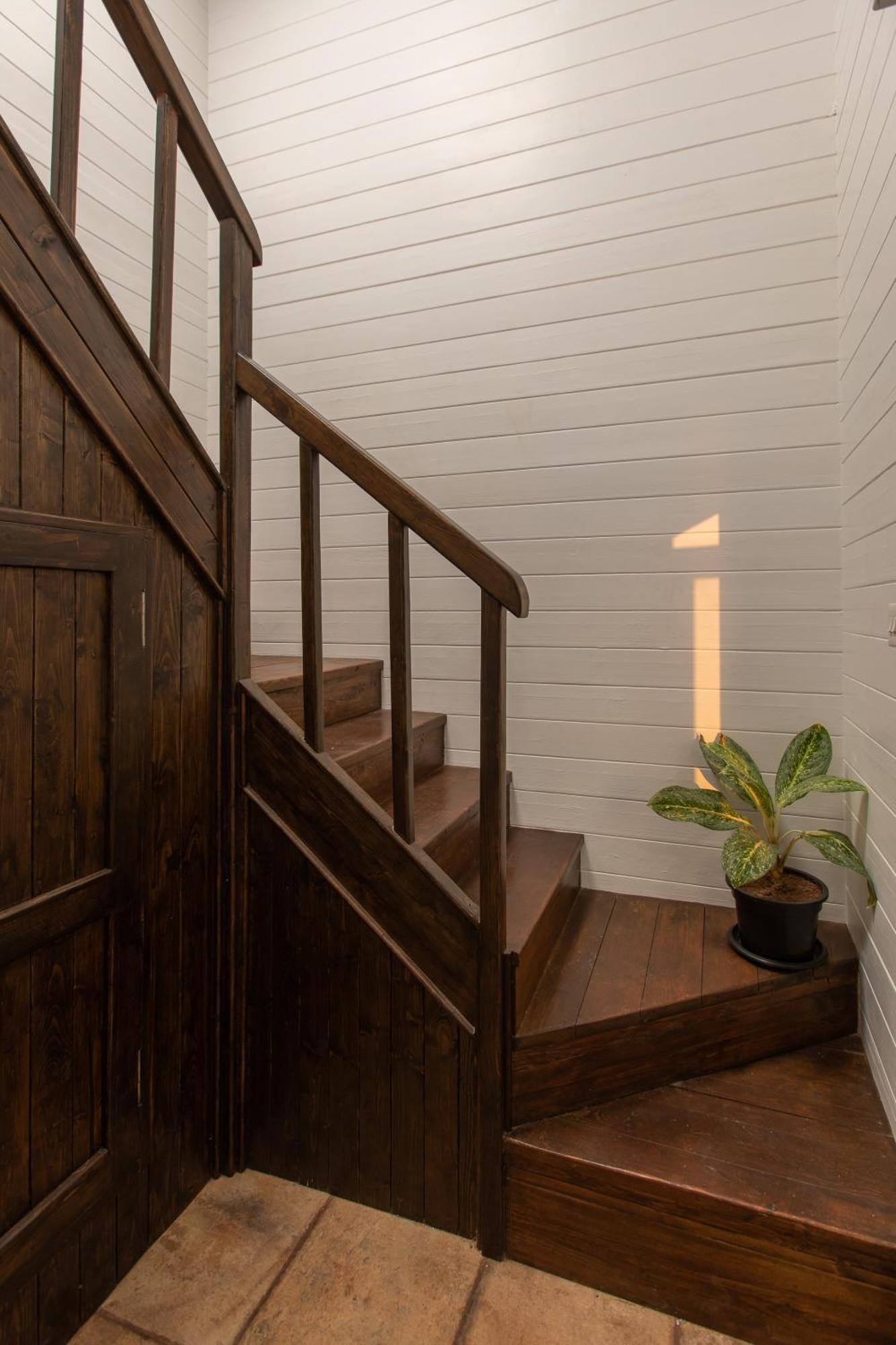 The Ark Comforts Palolem Chambre photo